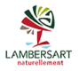 ville-lambersart